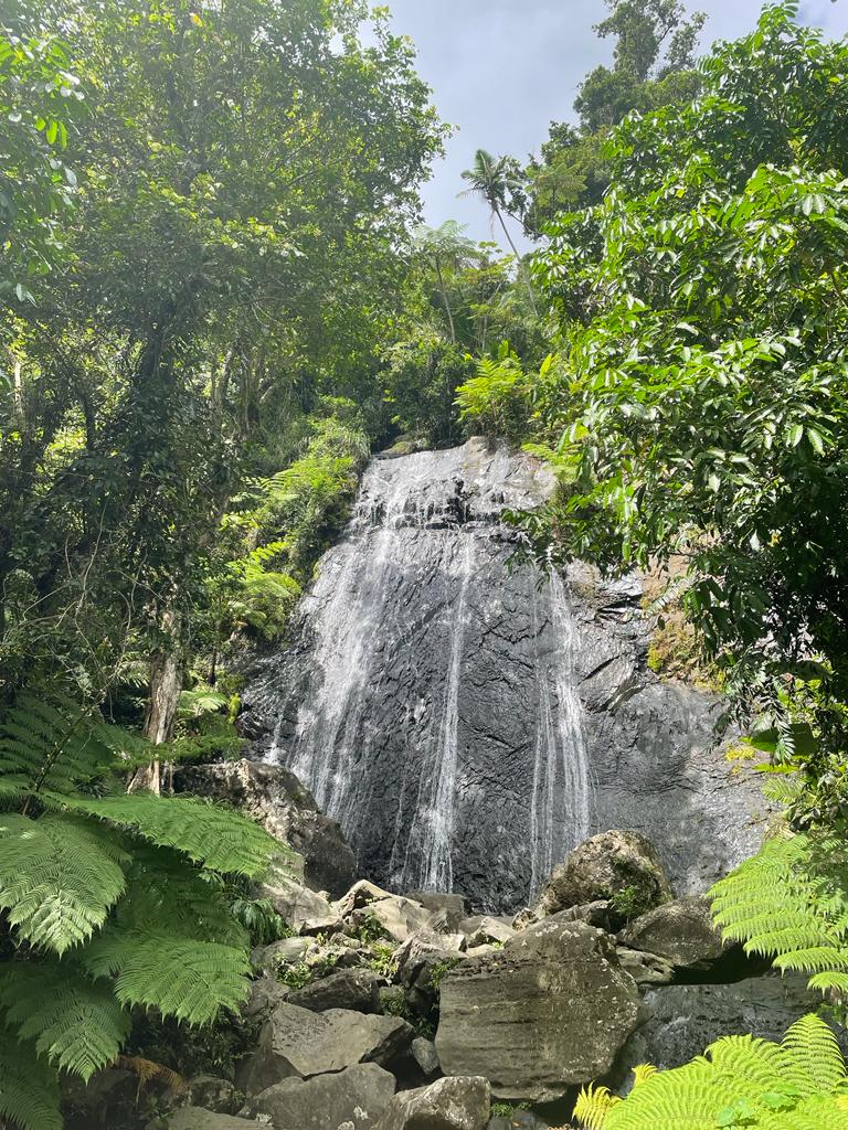 “El Yunque” National Rainforest